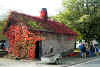 backhaus-131001-1.jpg (77807 Byte)