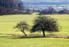 grobu-panorama-240202-1-b.jpg (64685 Byte)