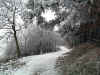 naturkunst-110102-3-b.jpg (79477 Byte)