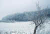 naturkunst-110102-7-b.jpg (57927 Byte)