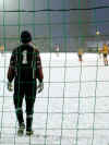 030201-fussball3.jpg (38085 Byte)