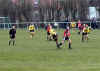 110201-fc3.jpg (46689 Byte)