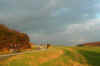herbstspaziergang-171102-7-a.jpg (39716 Byte)