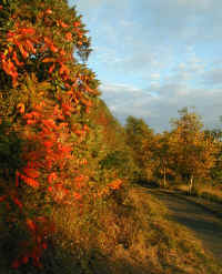 hoheberg-041002-2-a.jpg (120107 Byte)