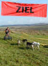 schlittenhunde-021102-22-a.jpg (91074 Byte)
