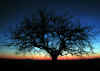 sonnenaufgang-030202-5-a.jpg (102444 Byte)