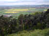 tower-050502-2-a.jpg (122597 Byte)