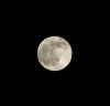vollmond-191202-1-a.jpg (15827 Byte)