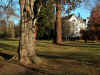 grobu-schloss-071203-5763.jpg (114060 Byte)