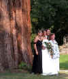 hochzeit-080803-2.jpg (112849 Byte)