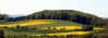 hoheberg-040503-2.jpg (84515 Byte)