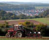 willidamm-041003-3.jpg (119873 Byte)