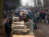 6918-holzstrich-130304.jpg (116997 Byte)