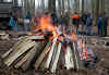 6880-holzstrich-130304.jpg (134993 Byte)