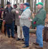 6894-holzstrich-130304.jpg (146352 Byte)