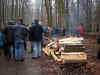 6897-holzstrich-130304.jpg (103209 Byte)