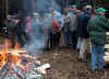 6904-holzstrich-130304.jpg (136890 Byte)