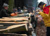6911-holzstrich-130304.jpg (119422 Byte)