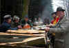 6915-holzstrich-130304.jpg (107391 Byte)