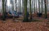 6916-holzstrich-130304.jpg (143898 Byte)