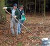 6923-holzstrich-130304.jpg (180276 Byte)