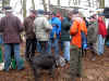 17112-holzstrich-180206.jpg (136188 Byte)
