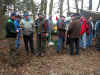 17116o-holzstrich-180206.jpg (149261 Byte)