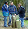 424-holzstrich-030307.jpg (151502 Byte)