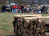 naturkamera-12450-holzstrich-080308.jpg (148874 Byte)