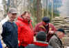 naturkamera-22869-holzstrich-280209.jpg (140136 Byte)